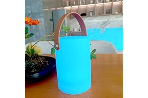 DGREVIGX AA Battery Portable Lantern Color Atmosphere Table Lamp Replaceable Battery Night Light Decoration Gift Table Party 1Pack