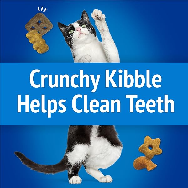 PURINA FRISKIES CAT TREATS, PARTY MIX BEACHSIDE CRUNCH – 20 OZ. POUCH
