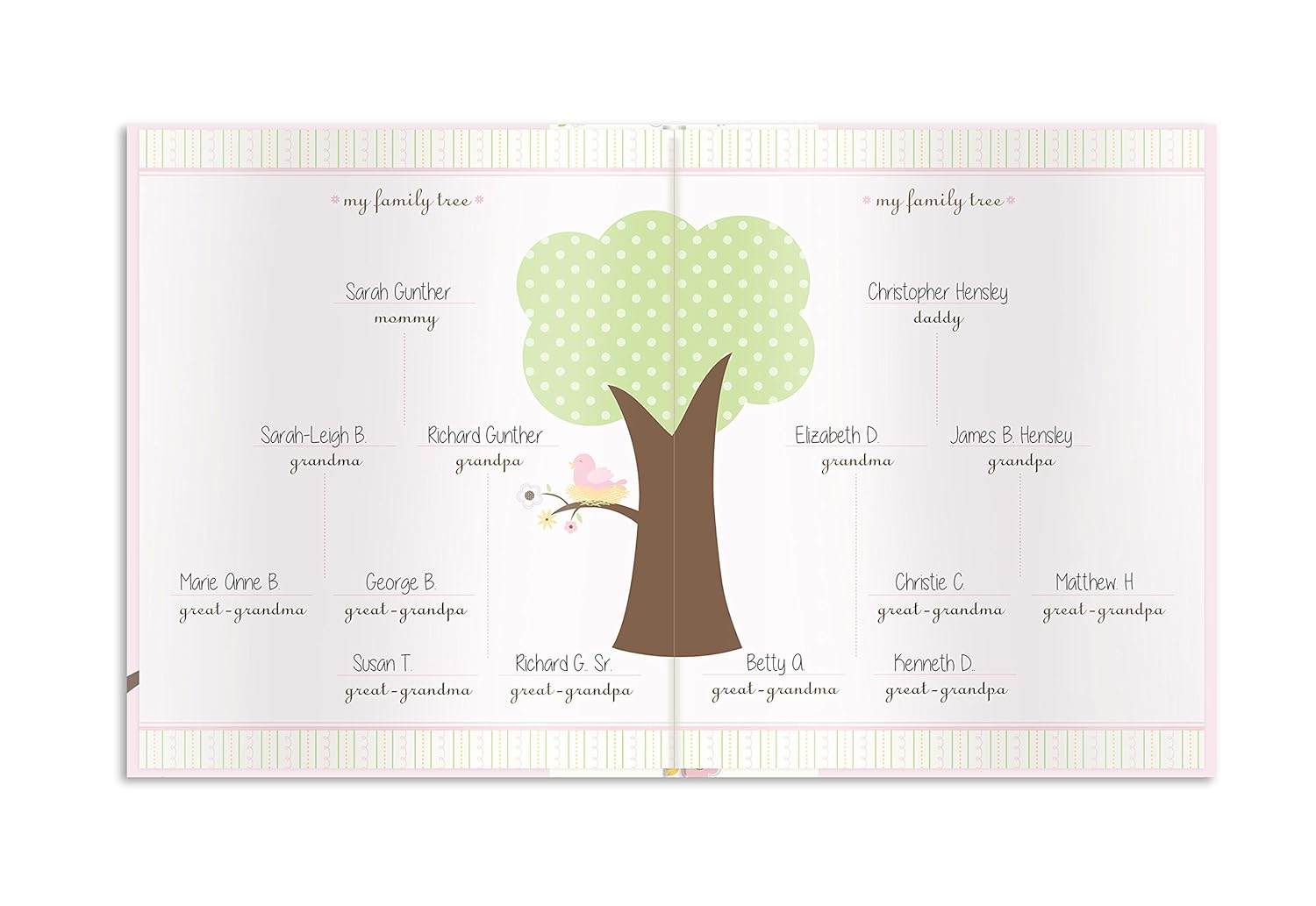 Lil Peach Birdie Baby Five Year Memory Book Photo Journal, Cherish Every Precious Moment of Your Babys First Years, Perfect Baby Shower Gift, Pink : Baby Photo Journals : Baby