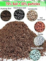 TOYPOPOR Succulent Soil, Cactus Potting Mix 3.75