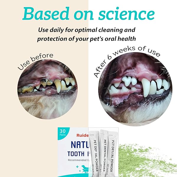 RUIDEHUT DOG TEETH CLEANING DENTAL POWDER – PLAQUE AND TARTAR REMOVAL – CLEAN TEETH, FRESHEN BREATH – CONTAINS PROBIOTICS – ADVANCED DENTAL CARE FOR DOGS AND CATS – 30 PACKS (90G)