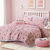 A Nice Night Bow Comforter Set,6 Piece Bed in a Bag with Comforter & Sheet Set,Chic Grid Bowknot Bedding Sets,Princess Themed Bed Sets for Kids Girls,Twin