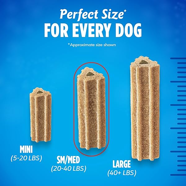 DENTALIFE ACTIVFRESH PACK OF 3 DOG CHEWS FOR SMALL AND MEDIUM DOGS 20-40 LBS., DENTAL CHEWS TO FRESHEN BREATH, CHICKEN FLAVOR, 22.5 OZ. EACH, 30 CHEWS EACH/90 TOTAL CHEWS – 30 CT. POUCH