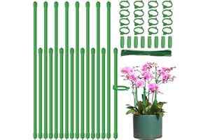 CasaCulina 16 Pcs Plant Stakes, 17 Inch & 11.3 Inch Plant Support Sticks, Adjustable Length Garden Stakes with Rings, Green Plant Support Stakes for Indoor and Outdoor Potted Plants, Flowers, Tomatoes