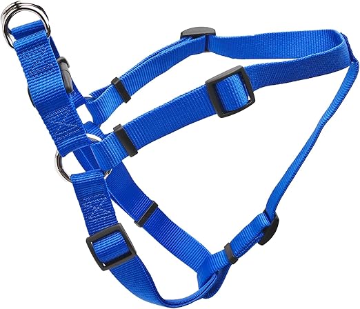 coastal pet harness