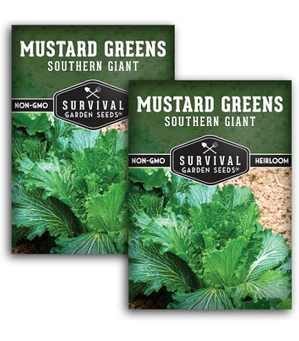 Little Seed Store Dinosaur Kale Seeds – Organic, Non-GMO, Heirloom, 94% Germination