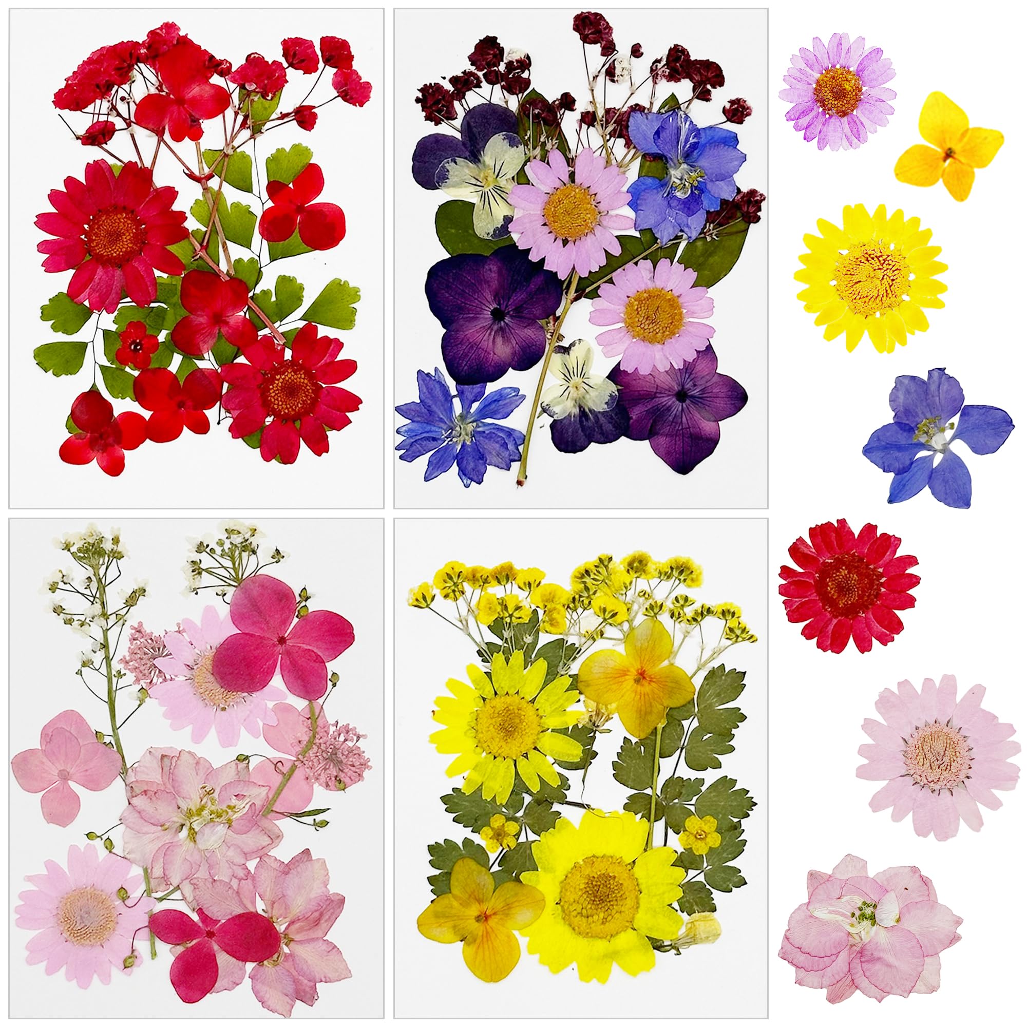 Cayway 48 PCS Natural Dried Flowers, Pressed Flowers, Colorful Resin Flowers Real Pressed Flowers for Resin Scrapbooking, Epoxy Resin Jewelry, Card Making Supplies, DIY Art Crafts