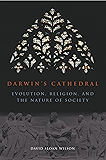 Darwin's Cathedral: Evolution, Religion, and the Nature of Society