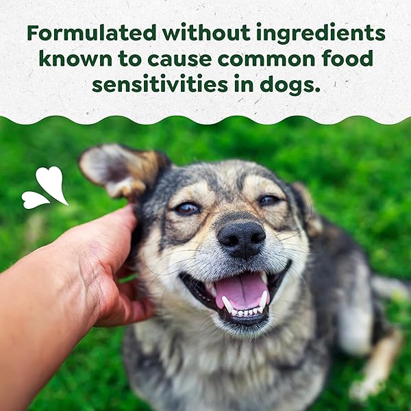 GREENIES SUPPLEMENTS DOG SKIN AND COAT SUPPLEMENTS WITH OMEGA 3 FATTY ACIDS & FISH OIL FOR DOGS, CHICKEN-FREE FORMULA, PEANUT BUTTER FLAVOR, 7.37 OZ, 40 COUNT