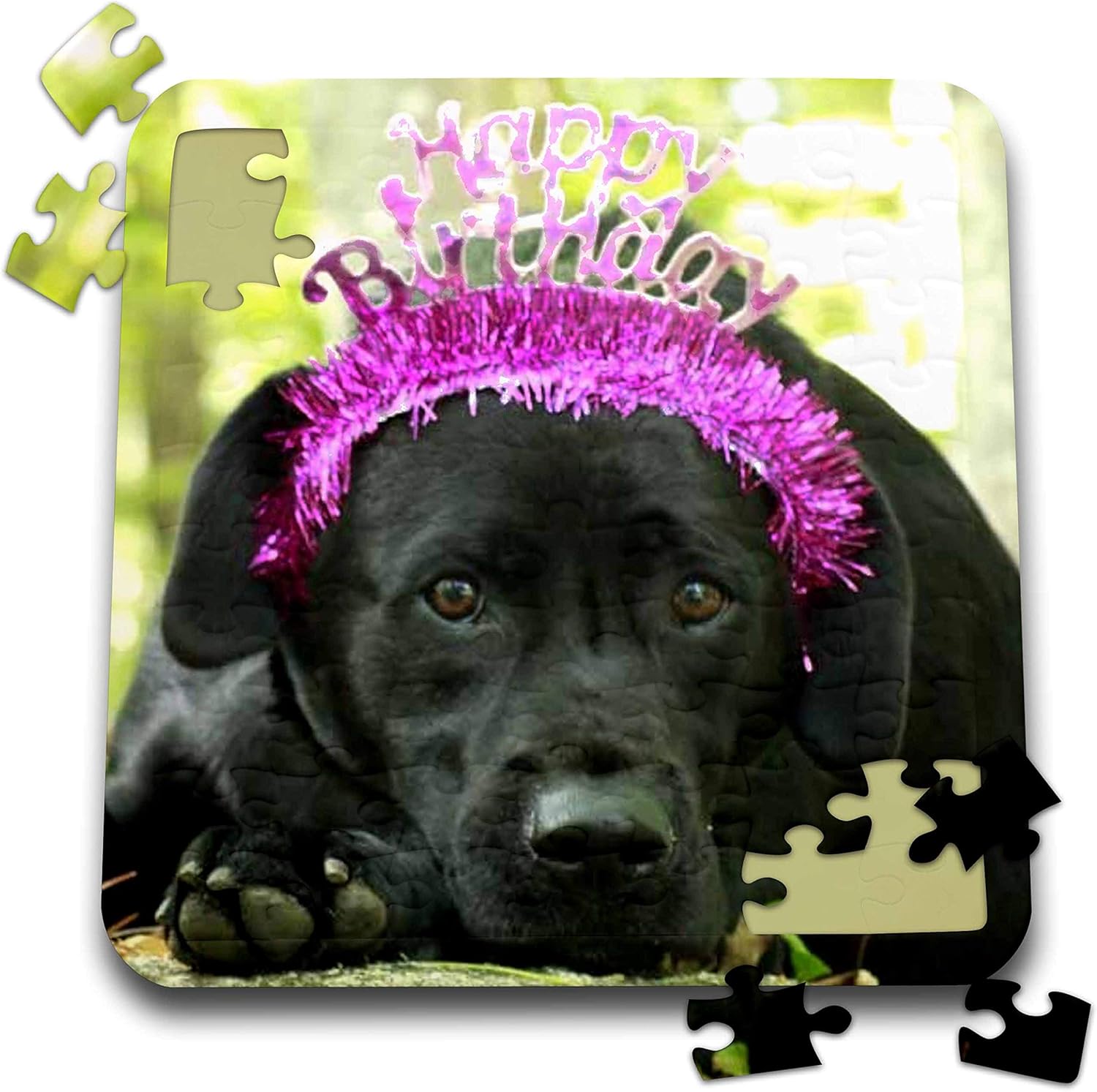 black lab birthday cake