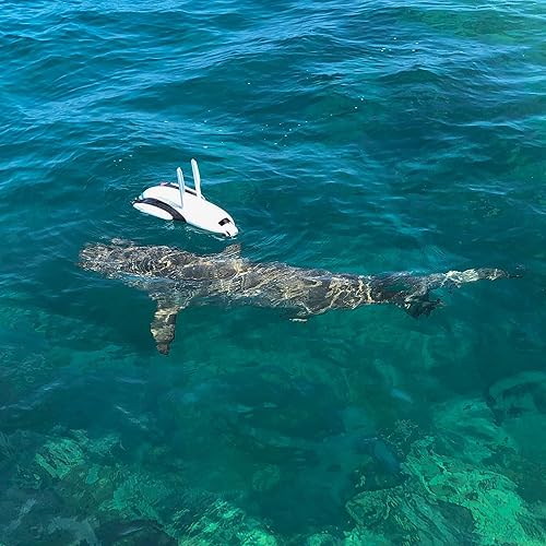 PowerVision PowerDolphin Explorer Underwater Drone with 4K Camera