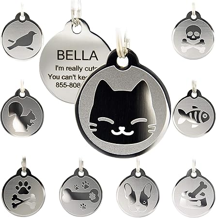 long lasting dog tags