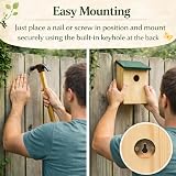 Garden Mile Traditional Wooden Bird House 4 Pack with Black Roof 30mm Hole view 5