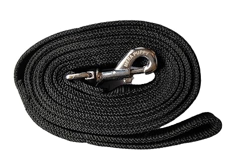 MeraPuppy Dog Leash for Regular to Medium Dogs (Black, 10ft)