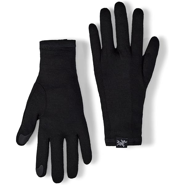 Arc'teryx Rivet Glove サイズL Rivet Glove – Arc'teryx Tokyo Ginza