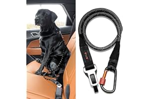 ARCA PET Dog Seat Belt for Car | Universal Dog Car Seatbelt | Durable Reflective Rope with Clip Hook Latch, Buckle and Carabiner- Safe and Secure Pet Safety Restraint (Black)