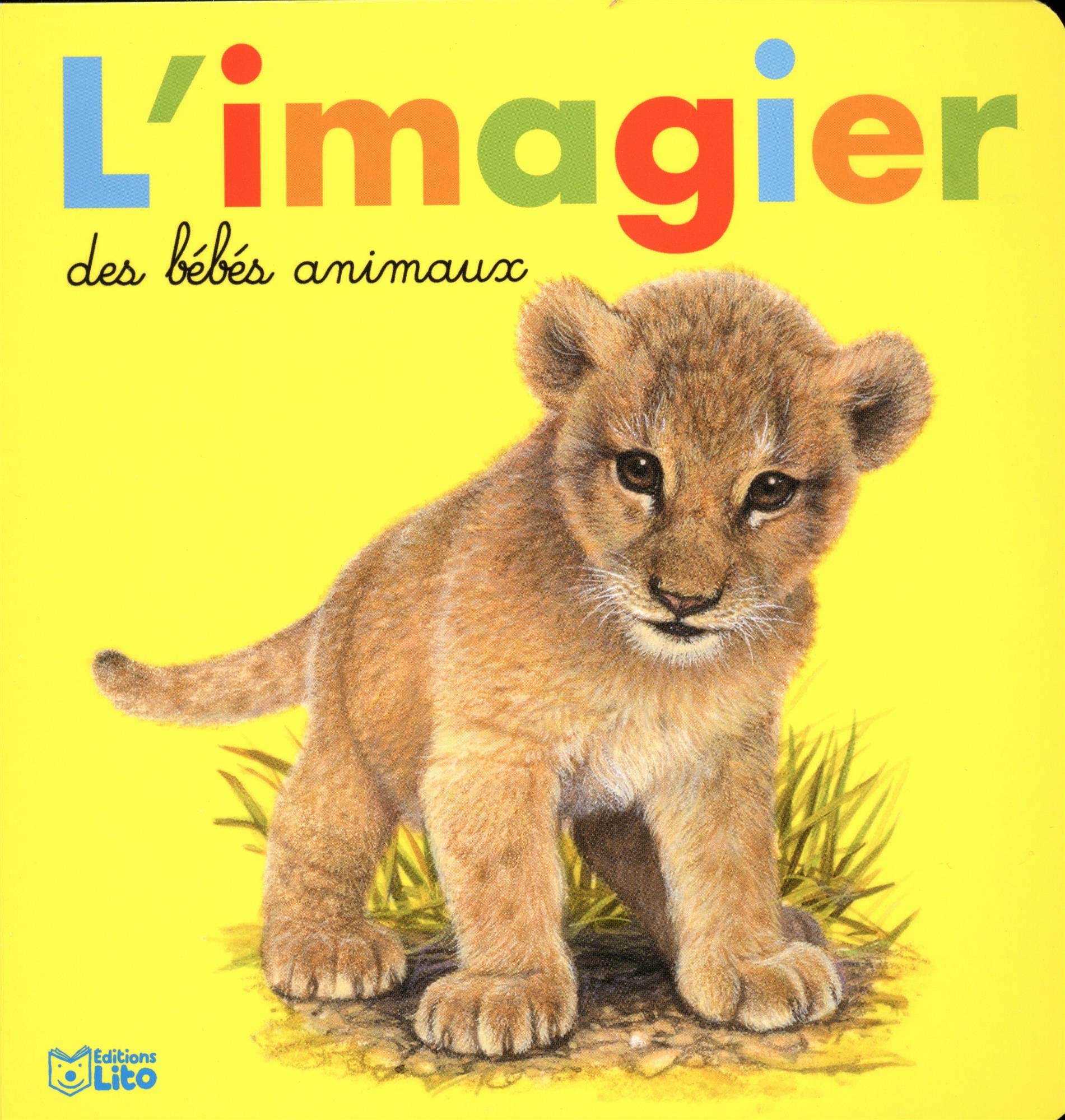 Amazon Com Livre Imagier Bebes Animaux Imagier Des Tou Books