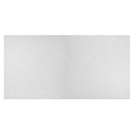 Genesis Printed Pro White 2x4 Ceiling Tiles 4 Mm Thick Carton