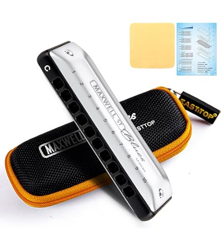 Amazon.com: Tombo Dragonfly 複音 Harmonica Premium 21 : Everything