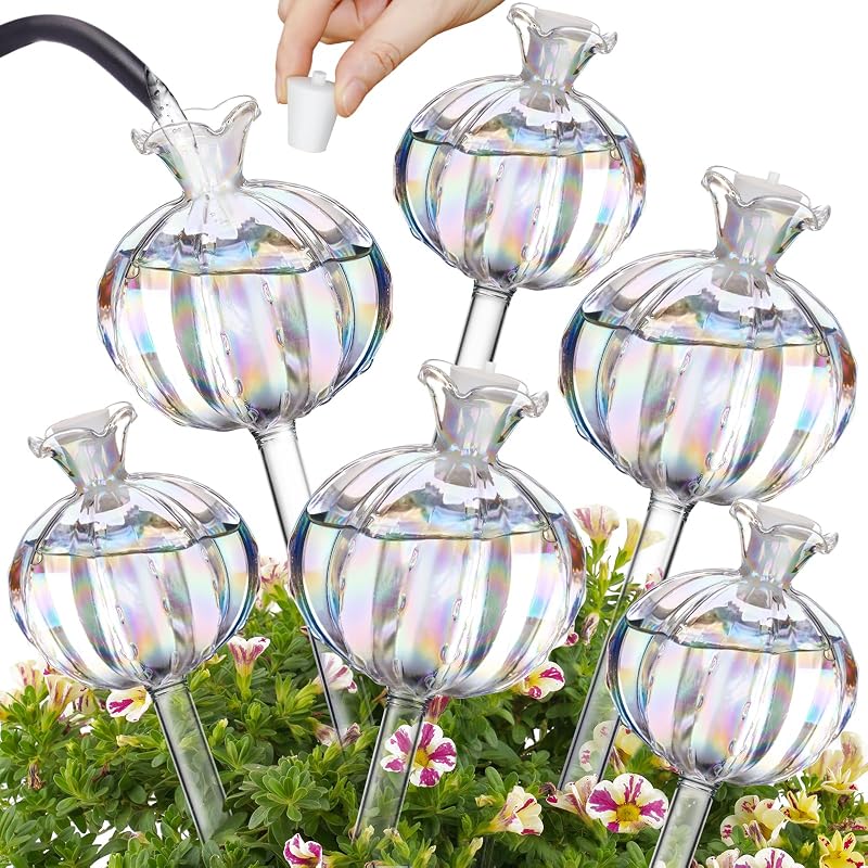 NiHome Cactus Glass Self-Watering Globes 6-Pack Iridescent Large 3 Small 3