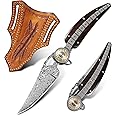 ALVELY Handmade Damascus Steel Folding Pocket Knife，Feather shape 3.4in Blade Men's Pocket Knife，With knife sheath，Ebony Handle，Home & Outdoor EDC knife