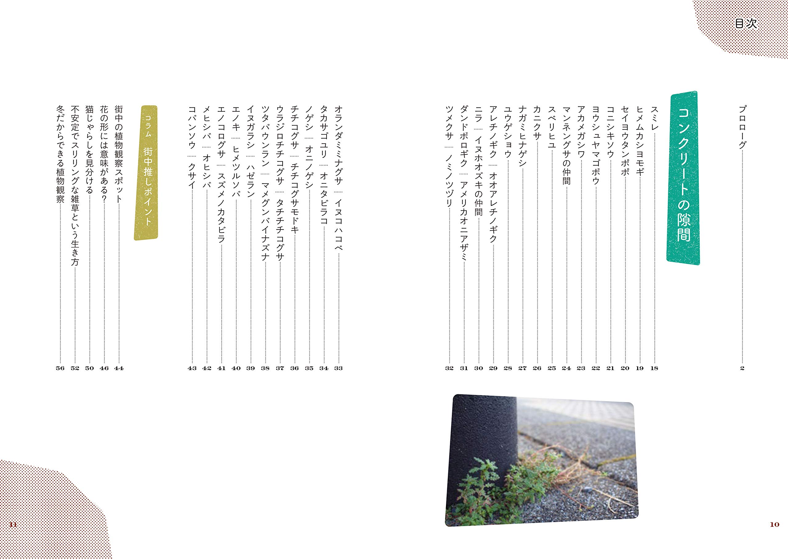 Amazon Co Jp やけに植物に詳しい僕の街のスキマ植物図鑑 瀬尾 一樹 Japanese Books