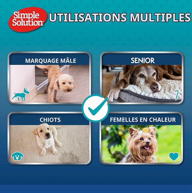 Couches jetables pour Chien mâle S x12