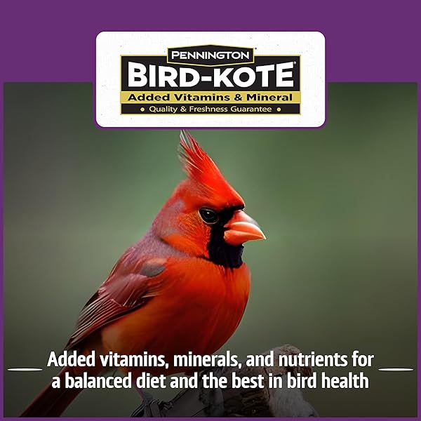 PENNINGTON PRIDE SONGBIRD NUT & FRUIT BLEND, WILD BIRD SEED FOR OUTSIDE FEEDERS, ADVANCED NUTRITION FORMULA FOR BIRD HEALTH, 10-LB. BAG