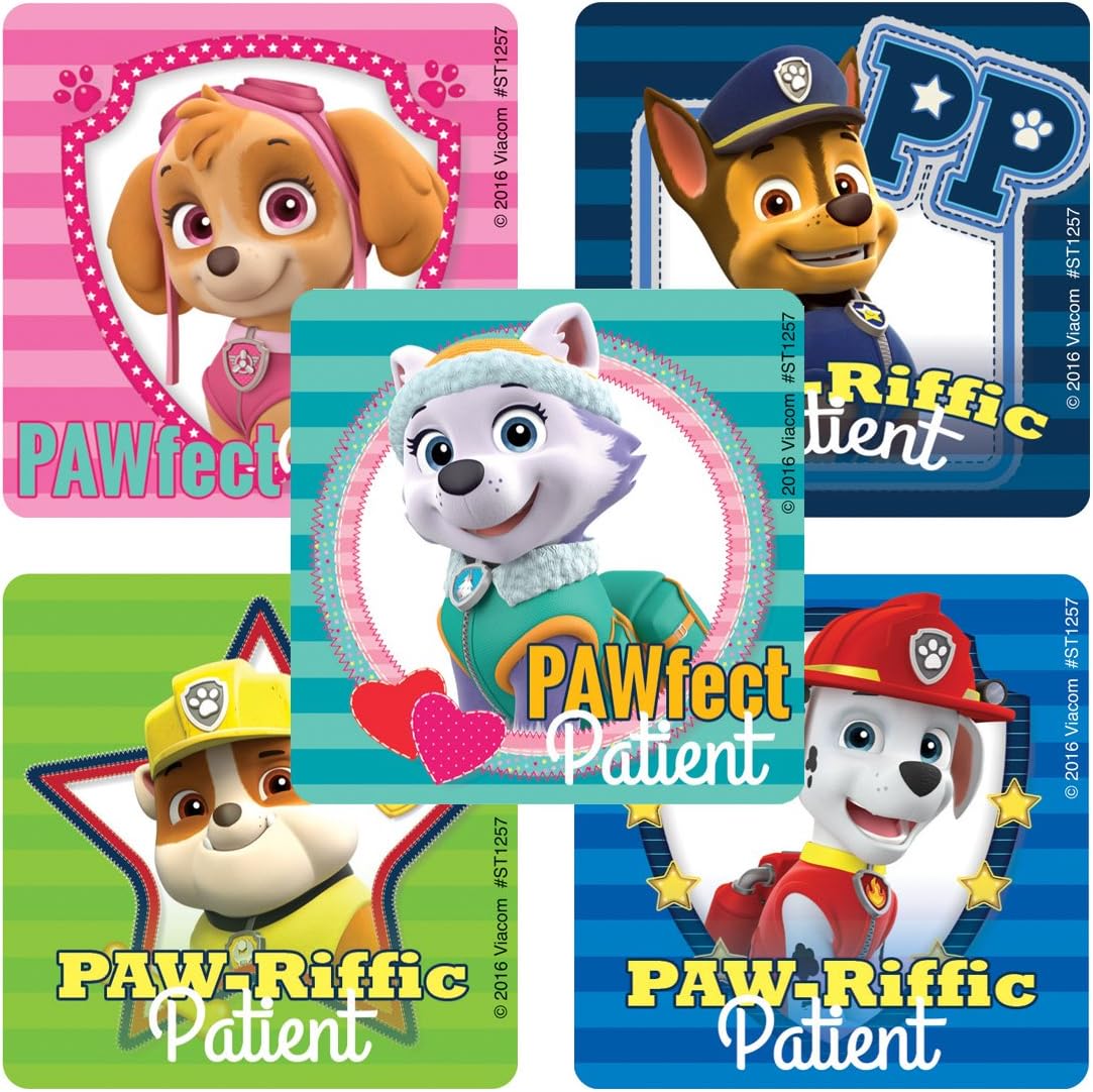 paw patrol doctor