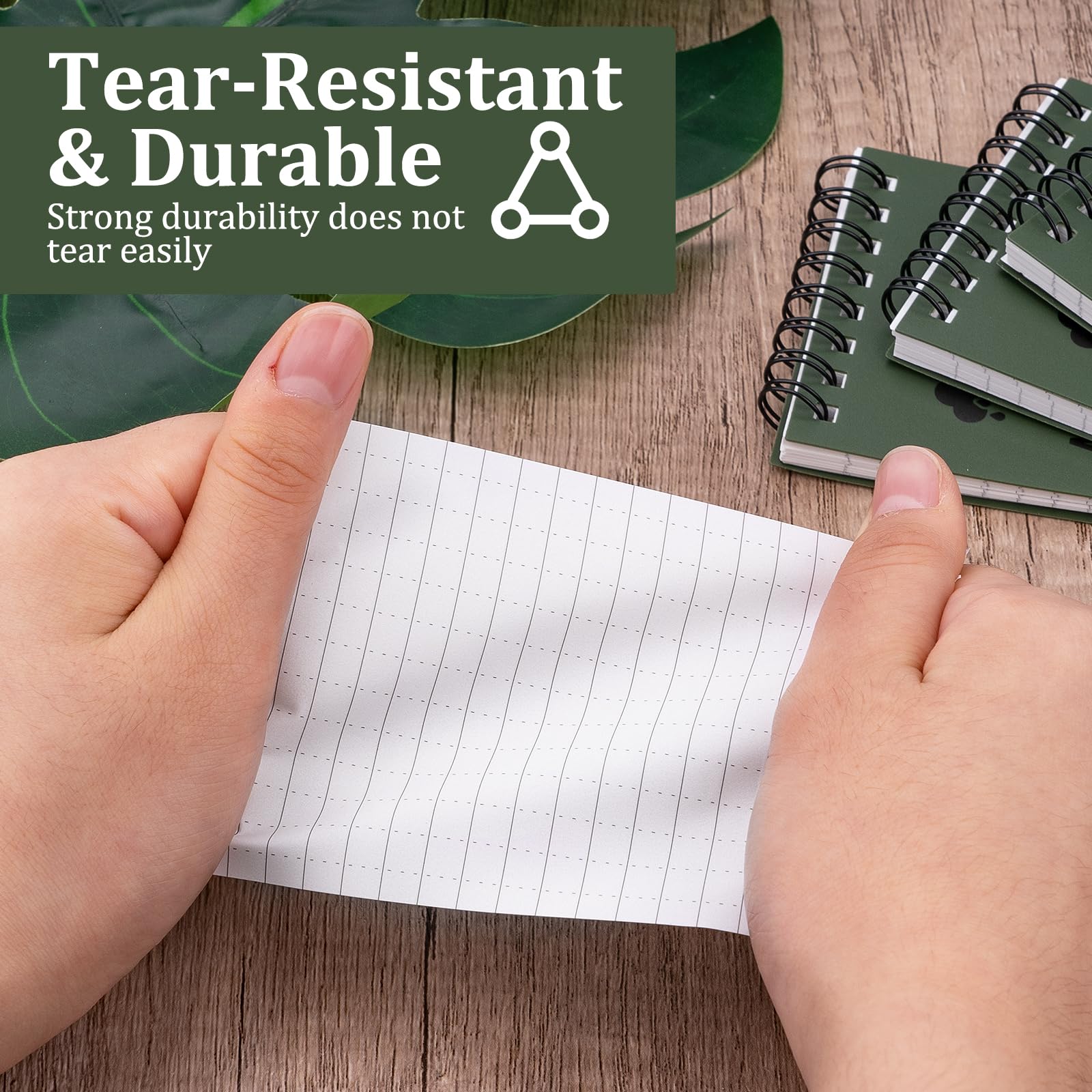 View 4