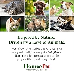 HomeoPet Feline Digestive Upsets, Natural Cat