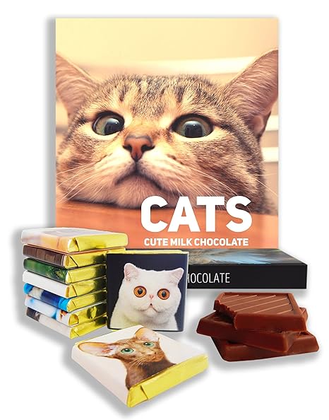 Amazon Com Da Chocolate Chocolate Gift Set Cats Funny Gift For