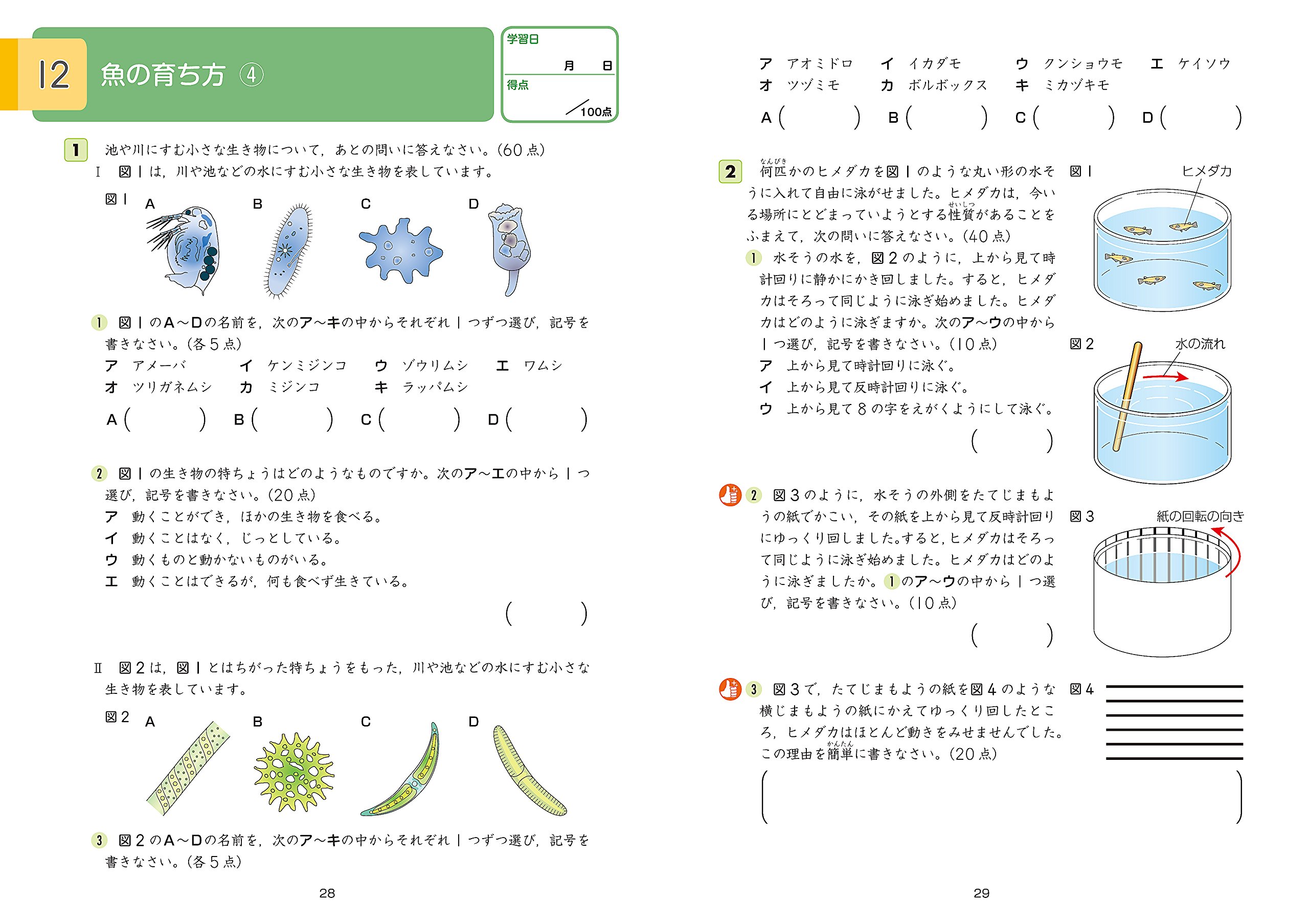 売れ筋 Z会グレードアップ問題集 小学5年 算数 文章題 2f04e52c 単体販売 Www Cfscr Com