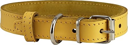 yellow leather dog collar