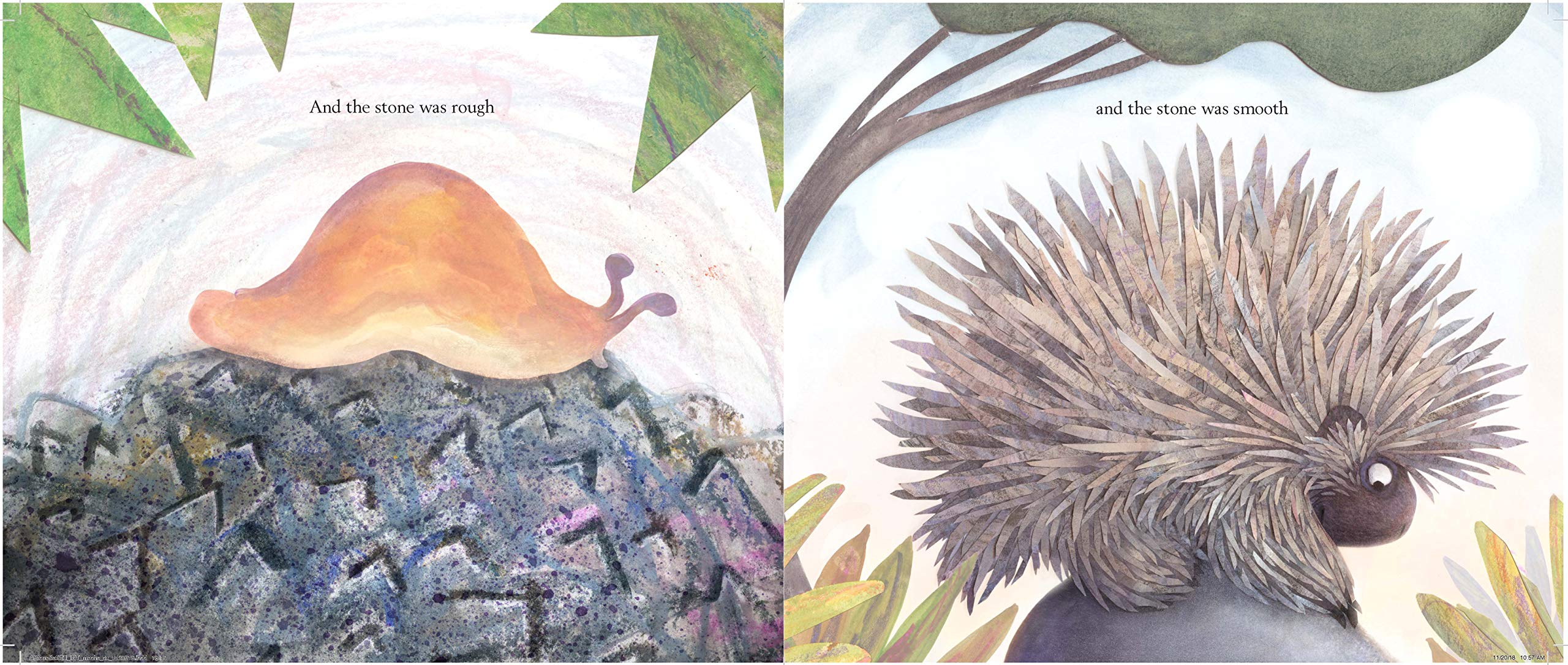 A Stone Sat Still: (Environmental and Nature Picture Book for Kids, Perspective Book for Preschool and Kindergarten, Award Winning Illustrator) (Brendan Wenzel)