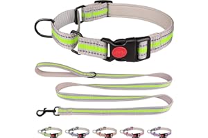 QDYU Martingale Collar for Dogs,Soft Neoprene Padded Reflective Martingale Collar and Leash Set Safety Buckle Nylon Martingale Dog Collar for Medium Dogs(Green&M)