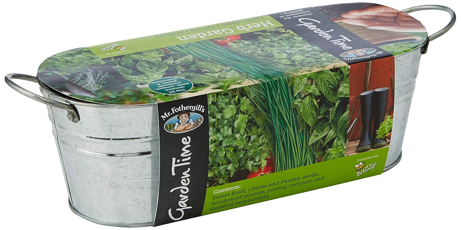 Mr Fothergills 24804 Garden Time Herb Garden Windowsill Kit Green