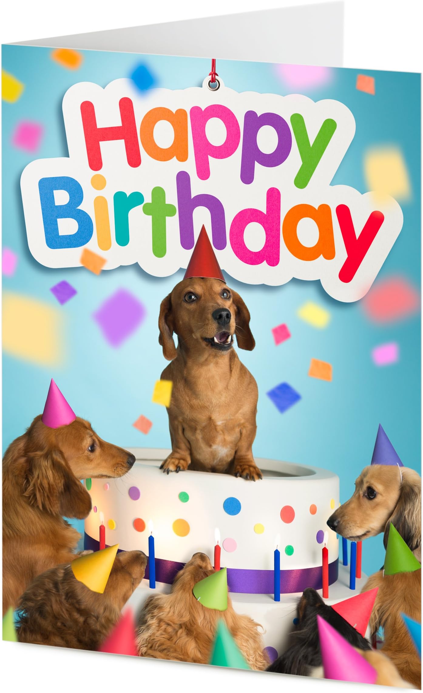 Dachshund sausage dog and friends emerge from giant birthday cake – Birthday card