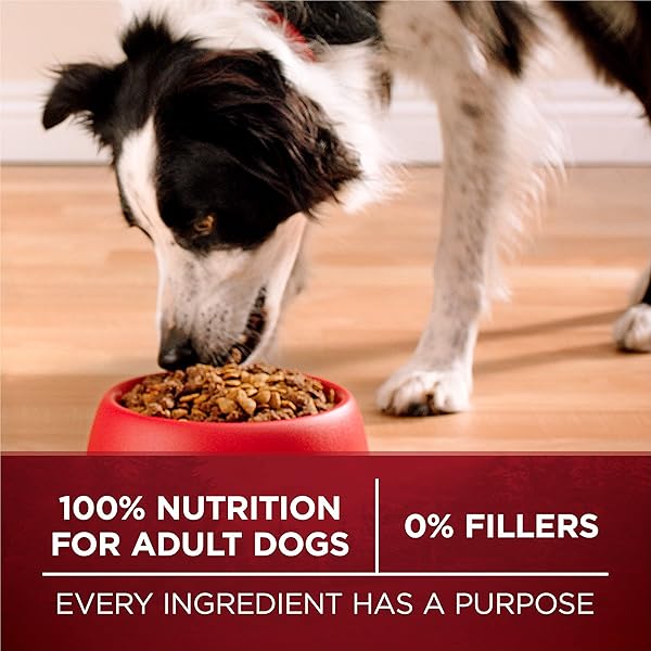 PURINA ONE TRUE INSTINCT WITH A BLEND OF REAL TURKEY AND VENISON DRY DOG FOOD – 7.4 LB. BAG