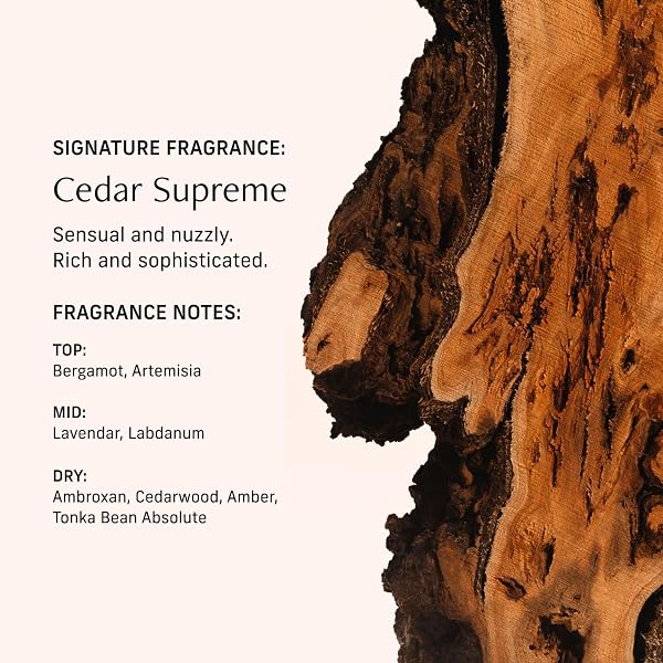 CYKLAR PERFUME OIL FOR SKIN – CEDAR SUPREME SCENT – CRISP, AROMATIC & WARM PERFUME FRAGRANCE WITH BERGAMOT, LAVENDER & CEDARWOOD NOTES – TRAVEL-FRIENDLY 15ML