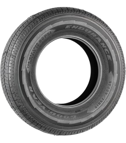 Amazon.com: Goodyear ENDURANCE - ST255/85R16 129N E/10 BW