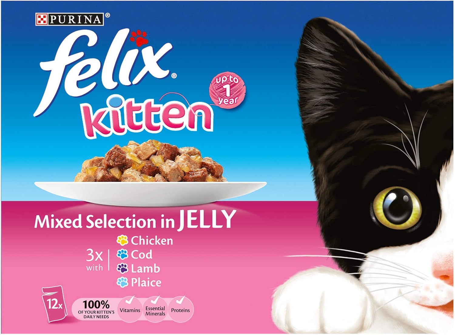 basset hound mixed with german shepherd