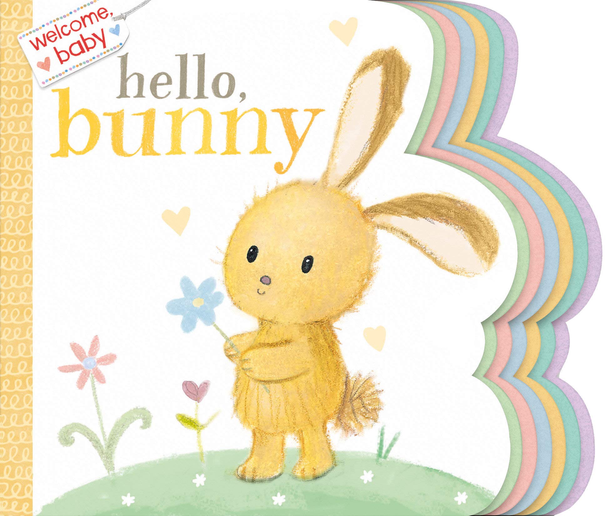 bunny baby book