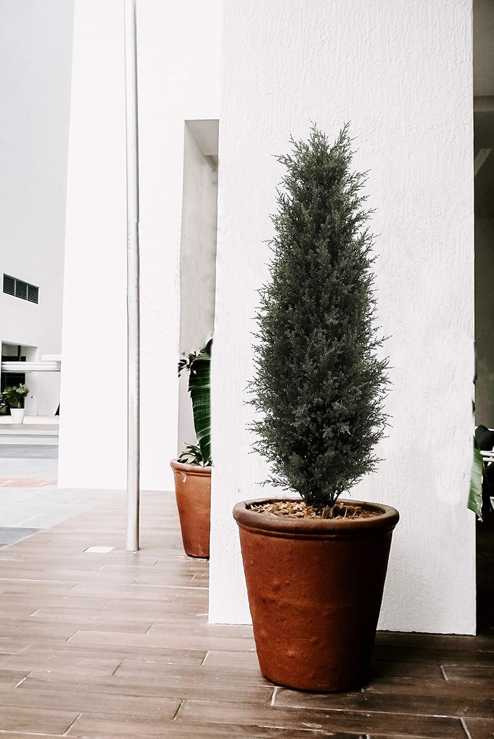 Artificial Cedar Tree, Boxwood Topiary Tree with Plastic Pot, Cypress Topiary Trees Artificial, Faux Palm Tree for Outdoor and Indoor Decoration, Ficus Tree, 36inch -
