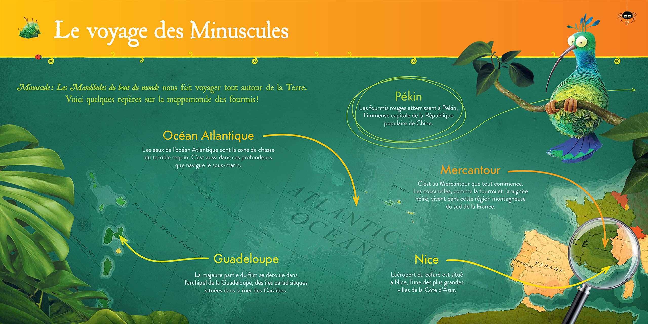 Minuscule Les Mandibules Du Bout Du Monde A La Loupe Amazon Co Uk Dupuy Julien Books