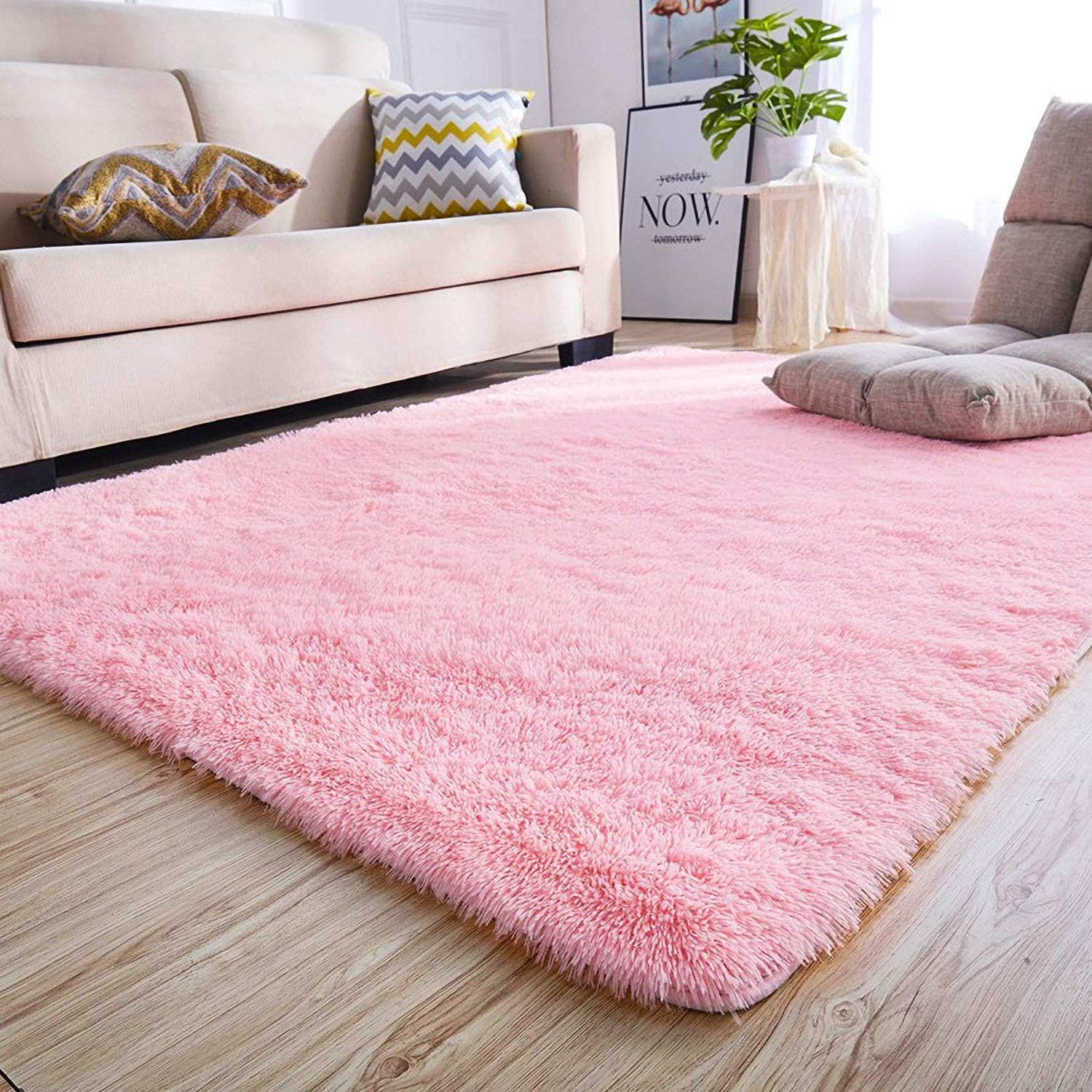 junovo Super Soft Velvet Shag Area Rug Modern Indoor Fluffy Rugs, Cute