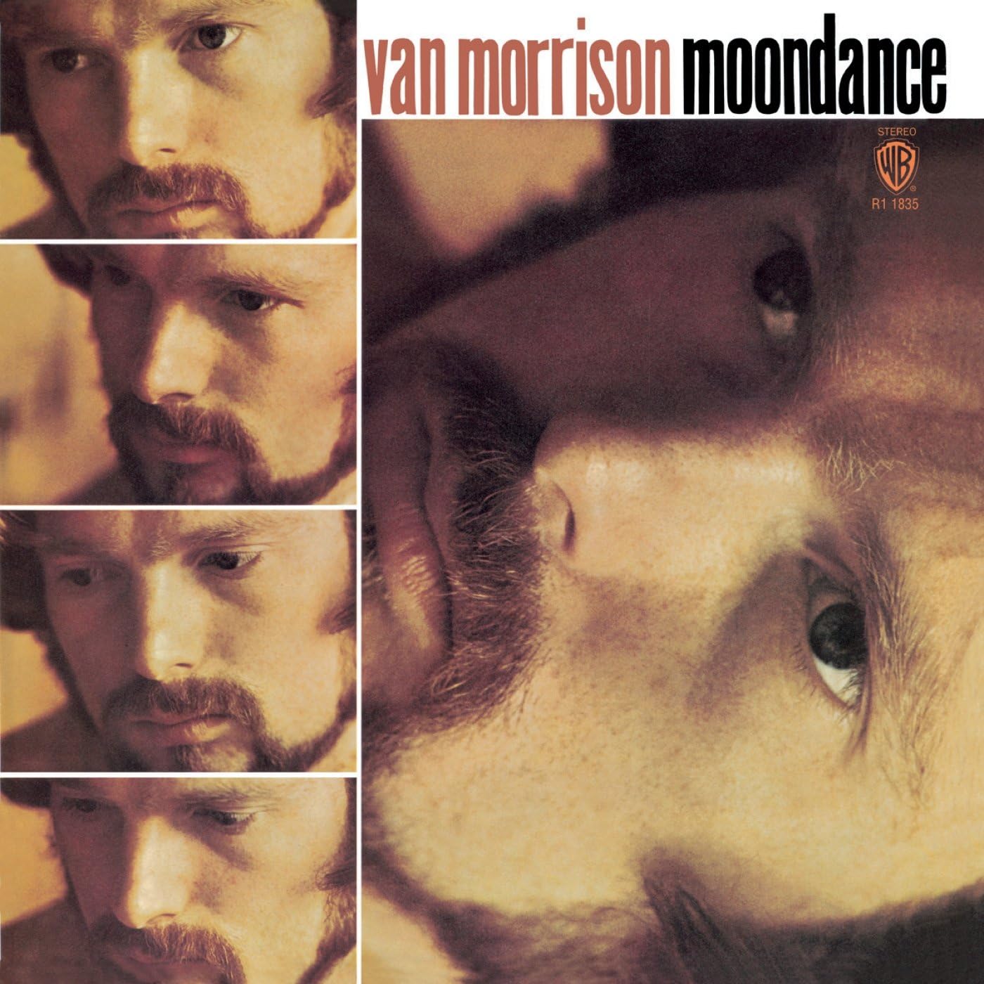 Moondance [VINYL] Amazon.co.uk Music