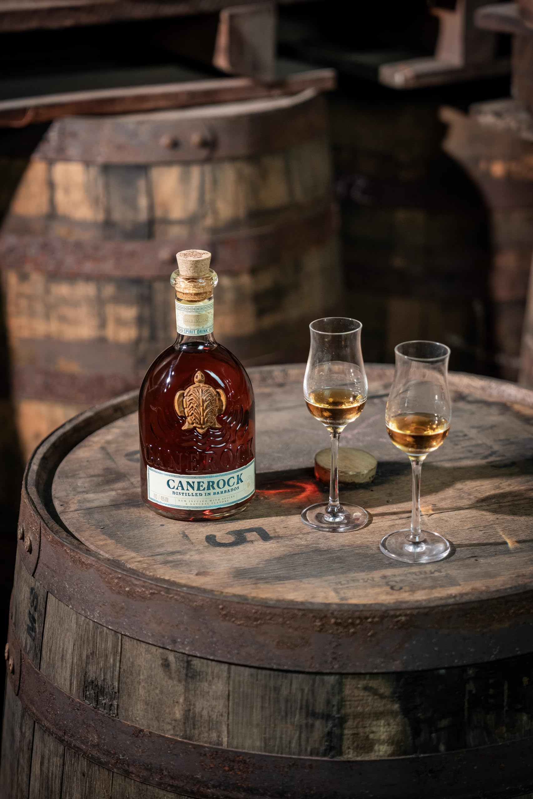 CANEROCK - Barbados Spiced Rum, infundiert mit Kokosnuss, Vanille und Ingwer - Goldmedaille bei den World Rum Awards 2023-40% Alkohol - 70 cl 5