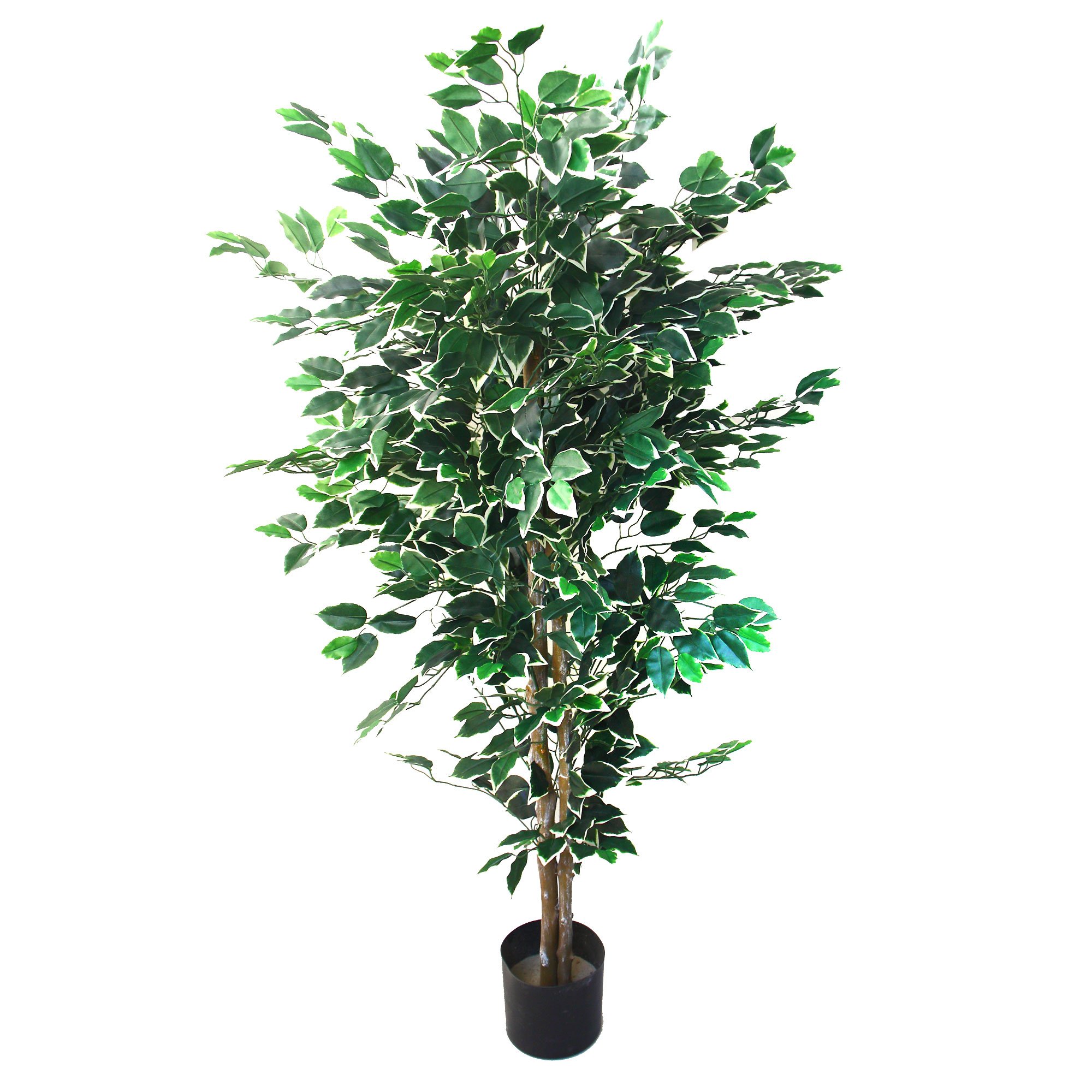 Artificial Ficus Tree with Variegated Leaves and Natural Trunk