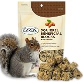 Exotic Nutrition Squirrel Beneficial Blocks - Healthy & Unique Supplemental Food with Nuts & Seeds, 10 oz